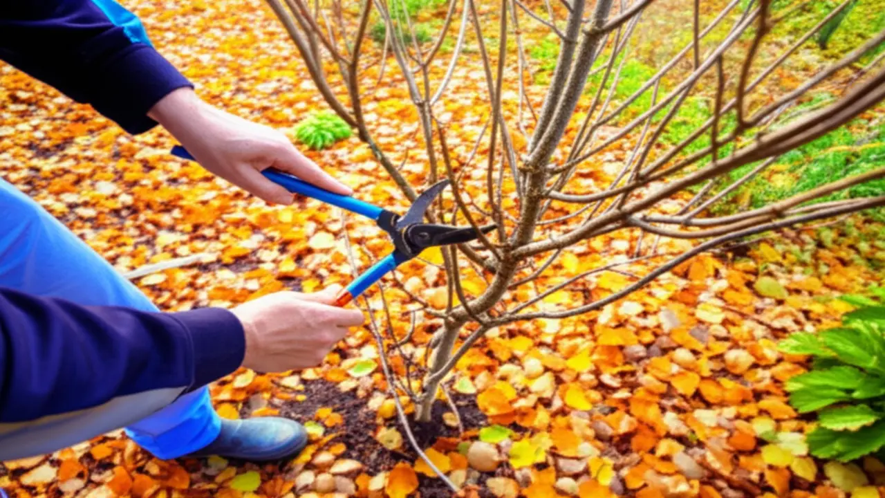 3. Pruning the Wrong Plants in Fall
