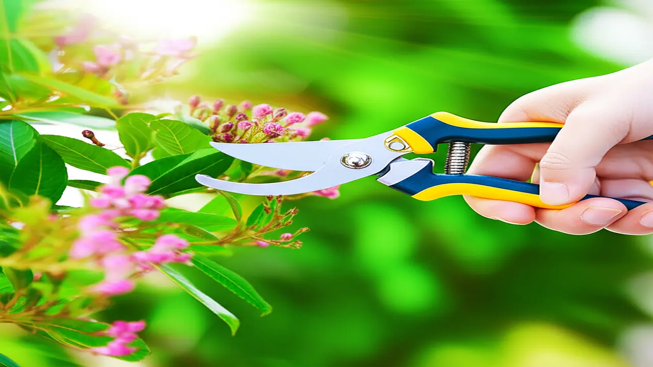 3. How Ergonomics Improves Your Gardening Experience