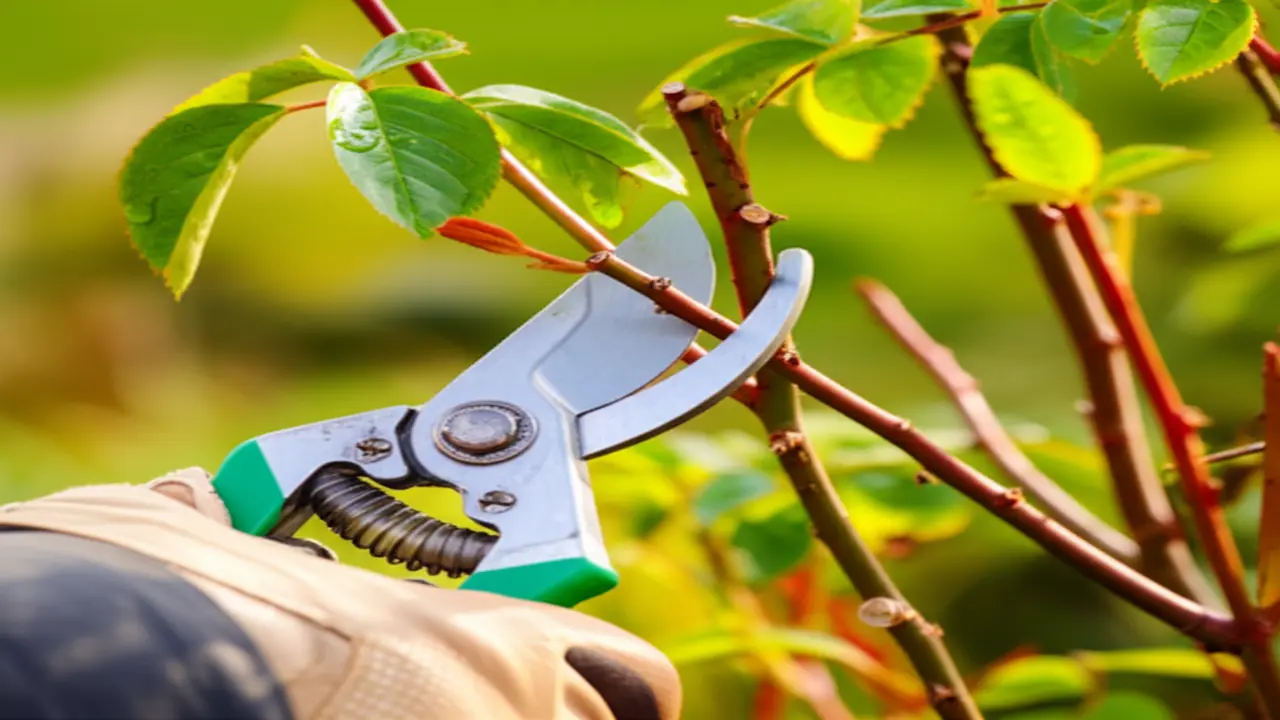 6. Mastering Pruning Techniques